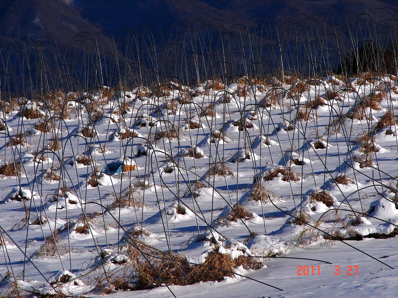 f0104277_21017100.jpg