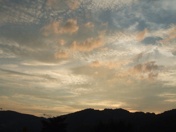 a0186689_11525543.jpg