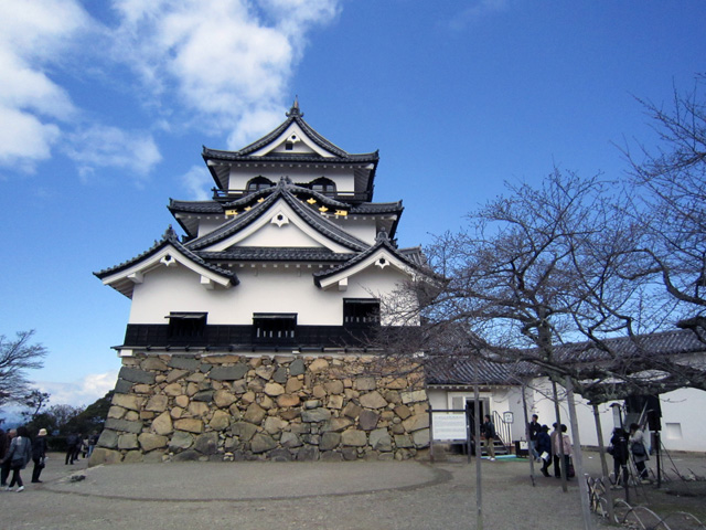 d0093791_2052271.jpg