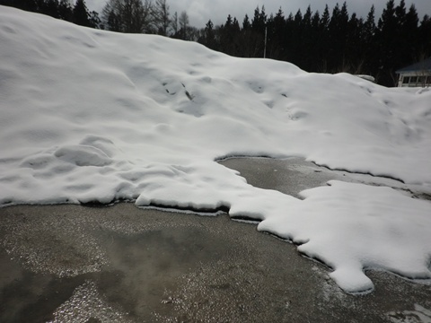 a0138198_11153599.jpg