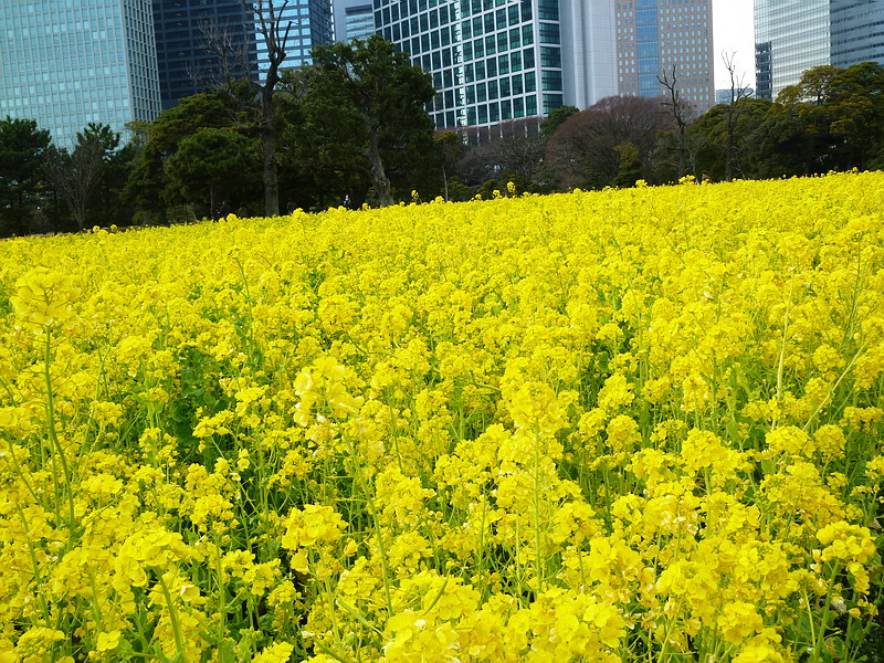 c0138198_910750.jpg