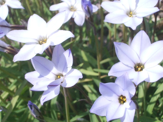 e0025300_11225490.jpg