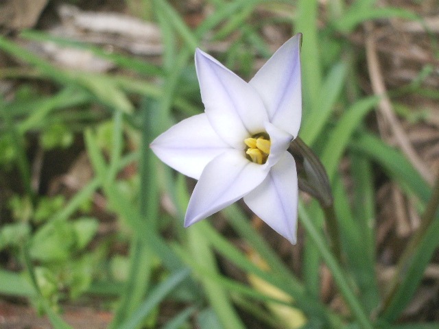 e0025300_112685.jpg