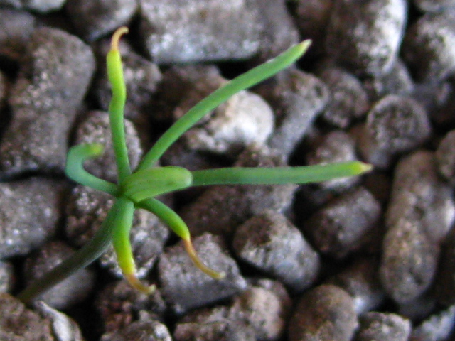 f0236201_14433213.jpg