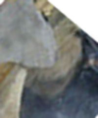 e0103408_192044.jpg