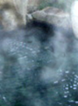 e0103408_193929.jpg