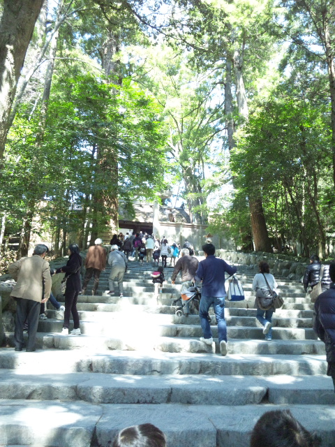 d0117011_758099.jpg