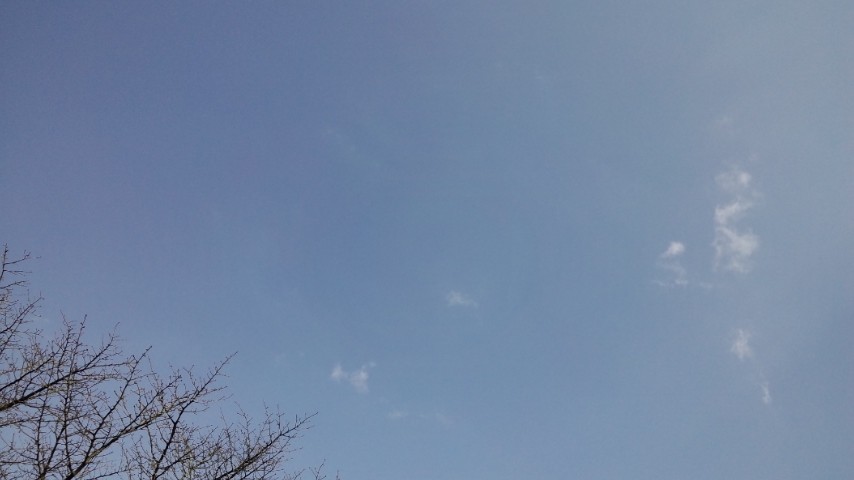 a0098513_13311335.jpg