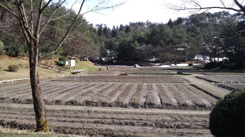a0098513_13315343.jpg