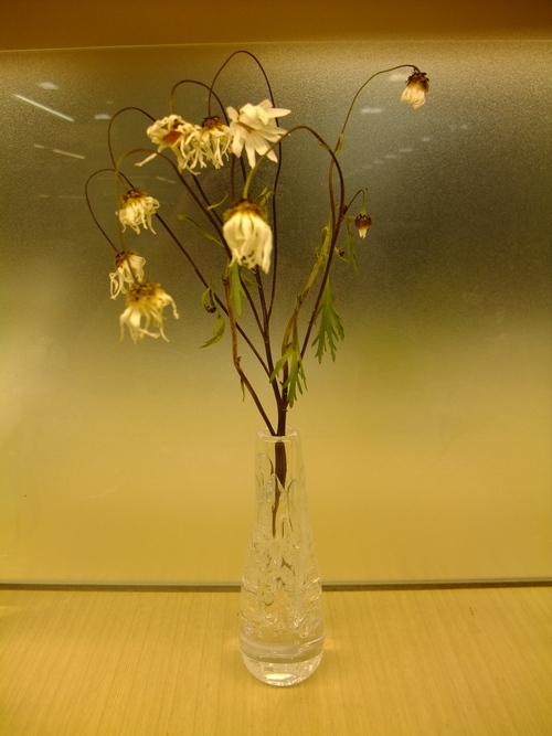 f0045630_10565058.jpg