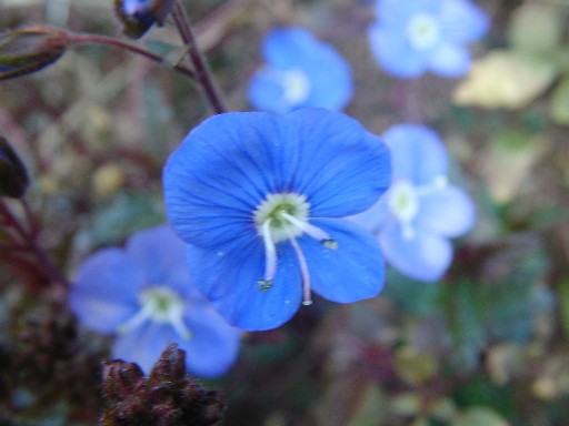 f0002833_18551594.jpg