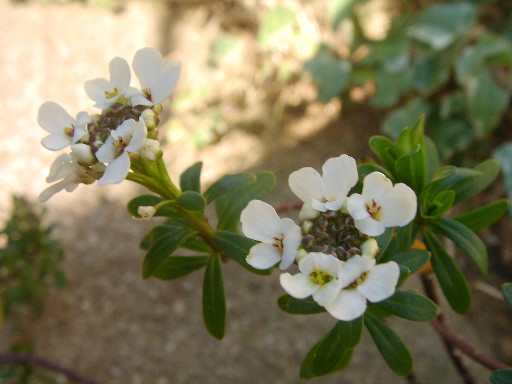 f0002833_18553223.jpg