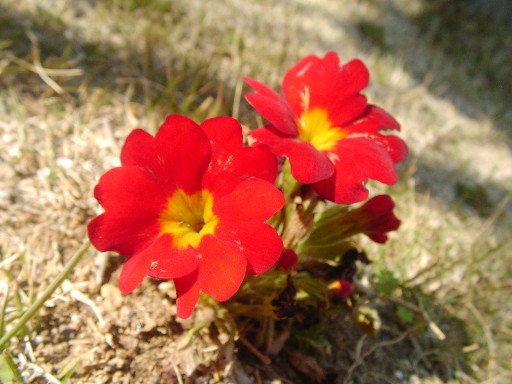 f0002833_18563991.jpg