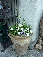 a0076237_2325319.jpg