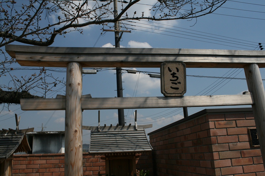 d0077740_2128770.jpg