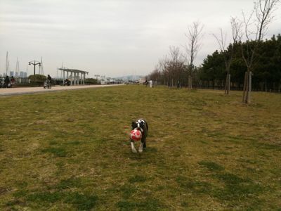 e0126046_202091.jpg