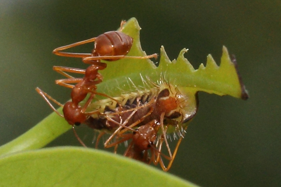 a0094850_11413894.jpg