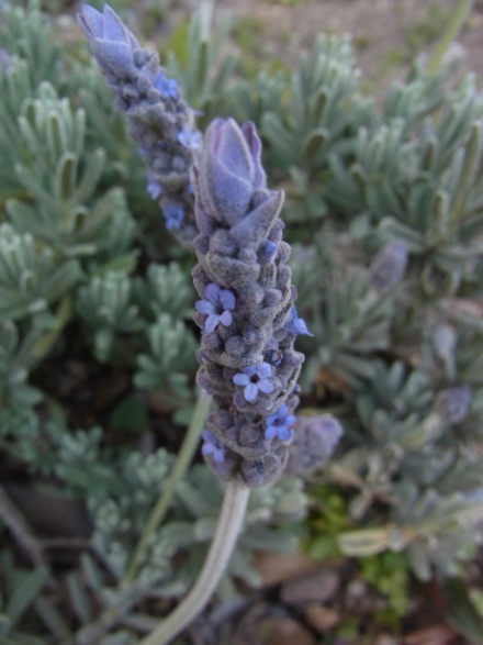 c0224154_22445980.jpg