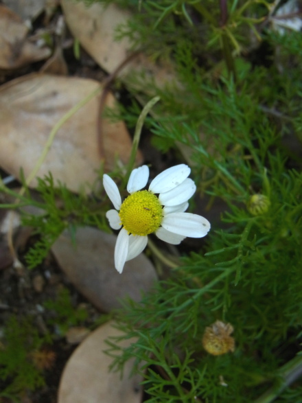 c0224154_22452182.jpg