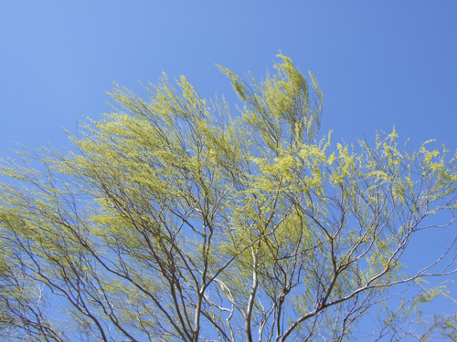 b0045357_938994.jpg