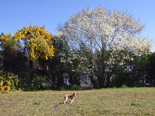 b0045357_9405488.jpg