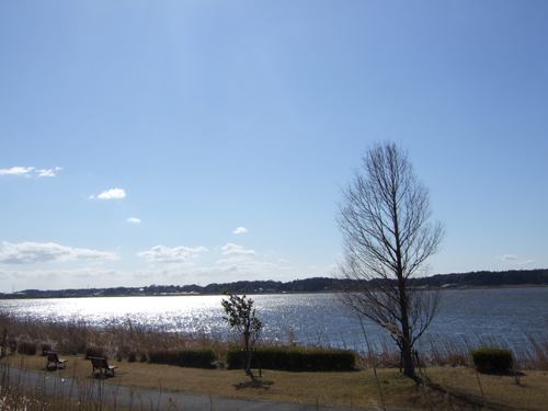 b0045357_943314.jpg