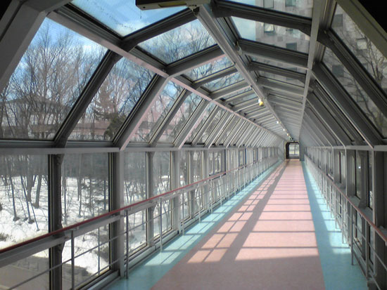 f0009457_2026735.jpg