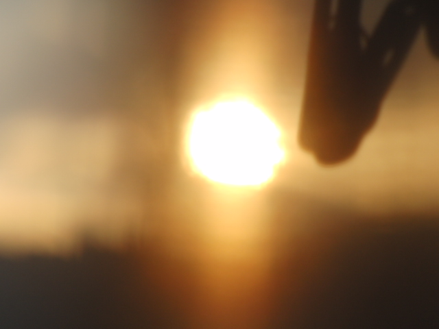 a0140863_1952357.jpg