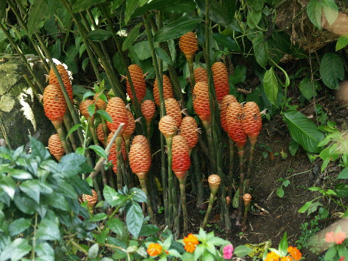 f0208666_11321566.jpg