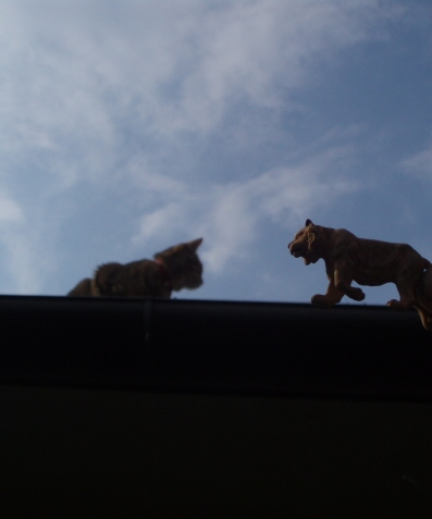 c0214272_233571.jpg