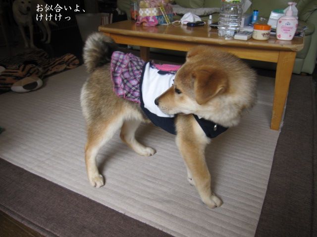 b0177174_0201218.jpg