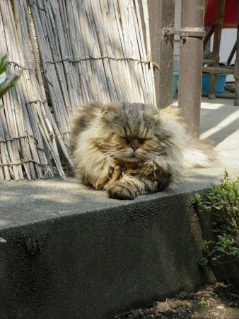 f0239100_179652.jpg