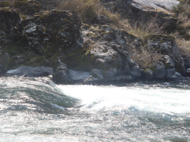 a0121502_20554925.jpg