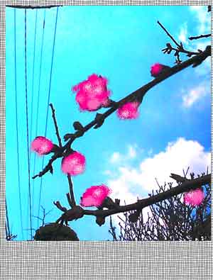 a0055907_13191920.jpg