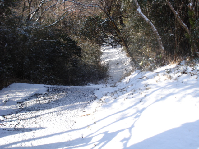 e0015108_2154758.jpg