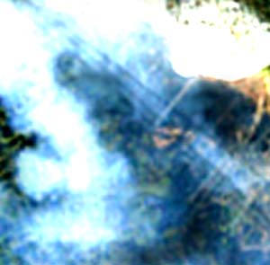 e0103408_12463682.jpg