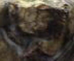 e0103408_18562748.jpg