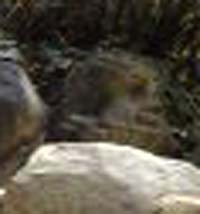 e0103408_18564498.jpg