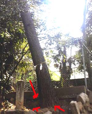 e0103408_18584097.jpg