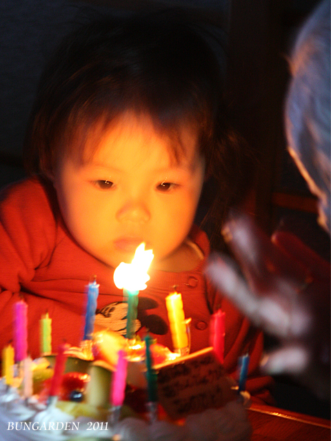 d0180114_2359837.jpg