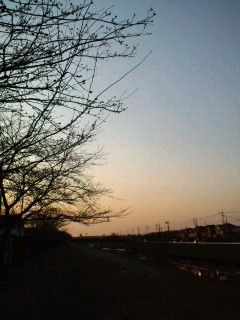a0194522_19223569.jpg