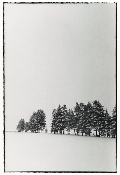 f0182924_11165967.jpg