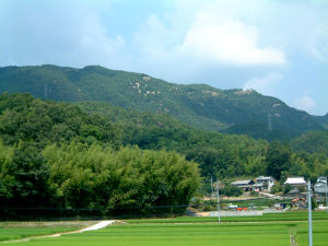 d0159325_20451074.jpg