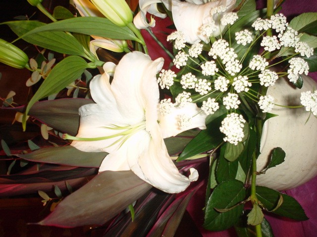 d0004627_23312524.jpg