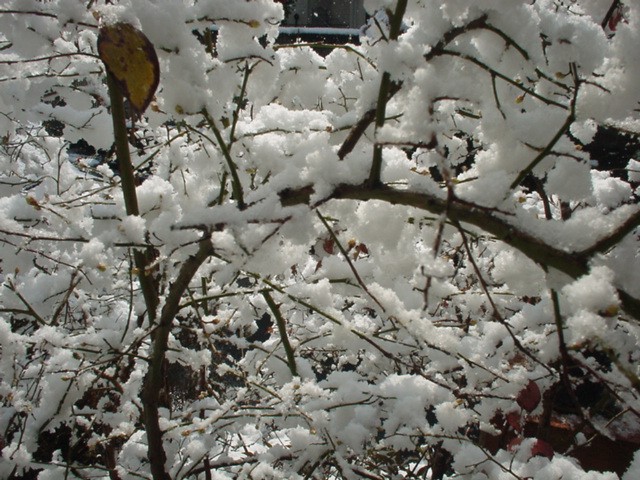 d0004627_23373530.jpg