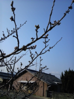 c0034228_1394931.jpg