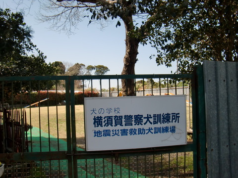 f0098728_7494935.jpg