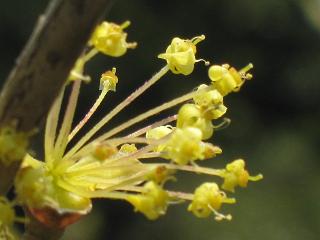 c0051529_21172912.jpg