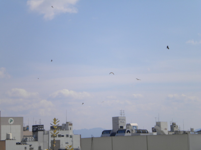 e0129831_1029353.jpg