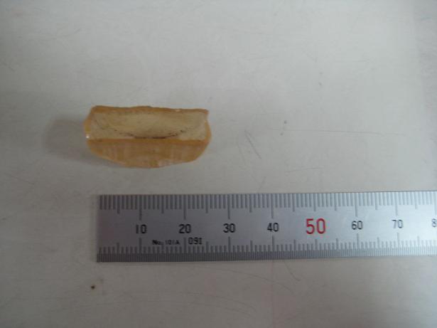e0108337_13524239.jpg